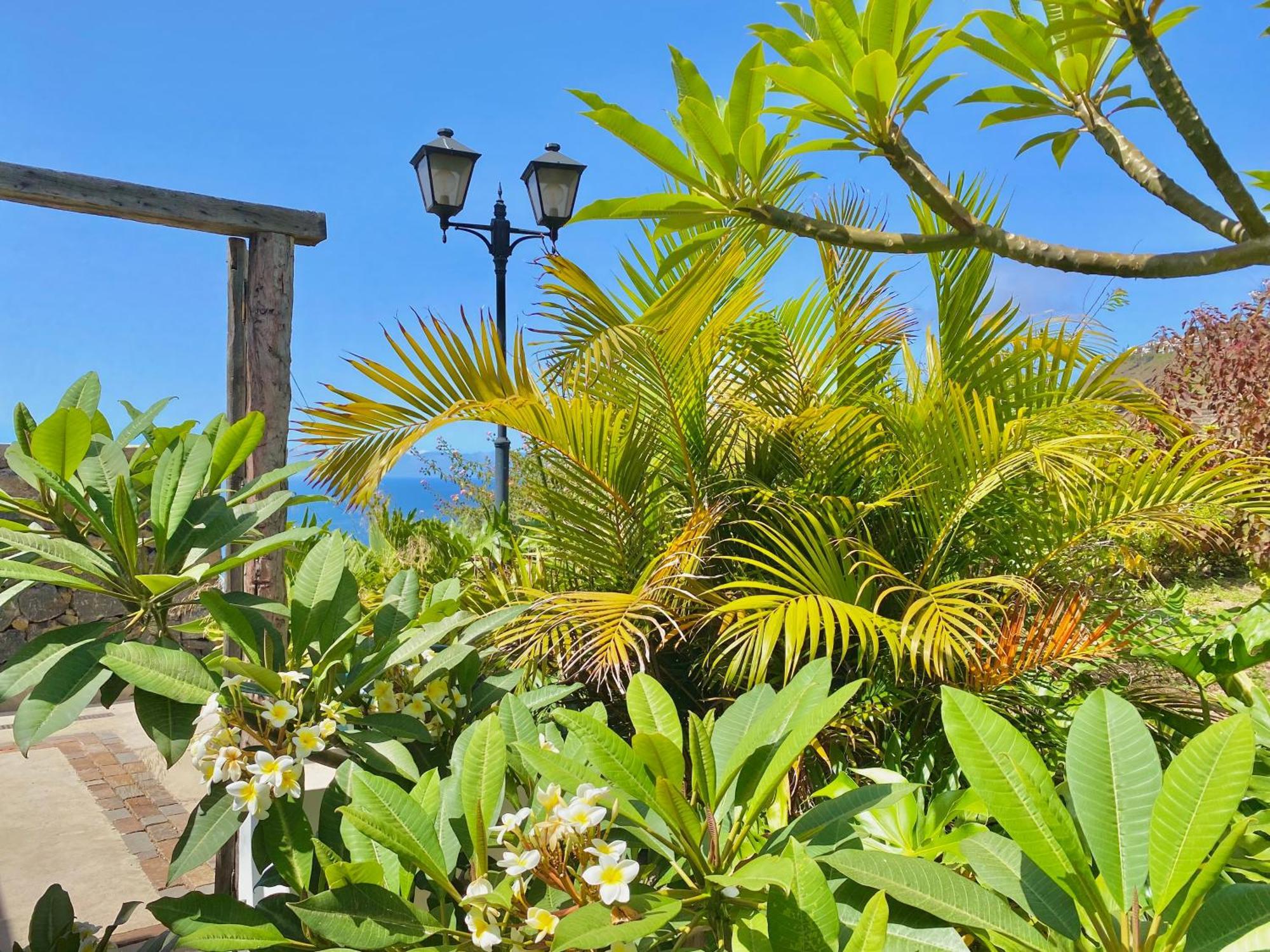 Ferienhaus Casa Lava Luminosa Y Con Magnificas Vistas La Orotava